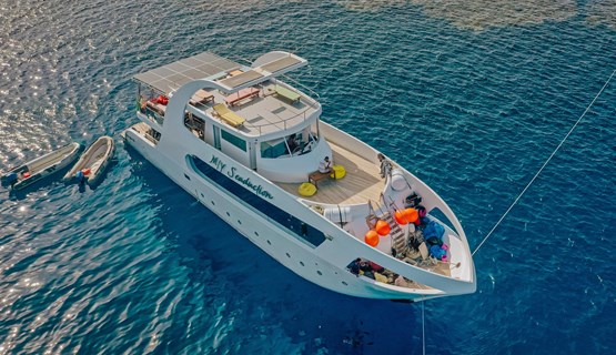 M/Y Seaduction Yacht